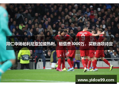 拜仁中场帕利尼亚加盟热刺，租借费3000万，买断选项待定
